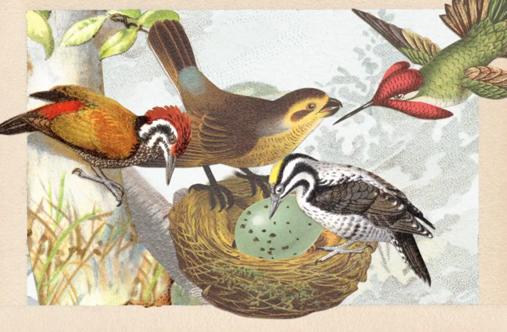 sketch of four birds and a nest with an egg in it