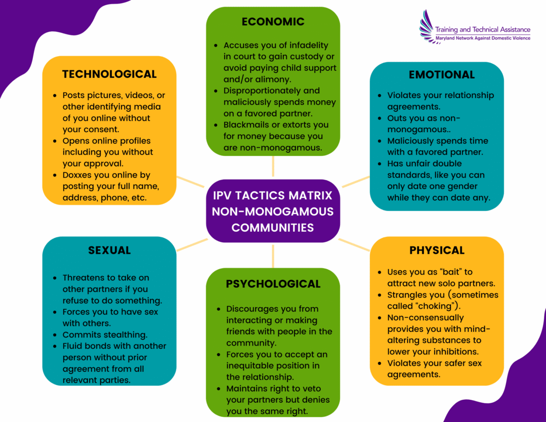 IPV Tactics Matrix for the Non-monogamy Community